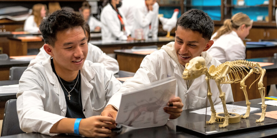 Two male students studying an animal skeleton in a science class. 