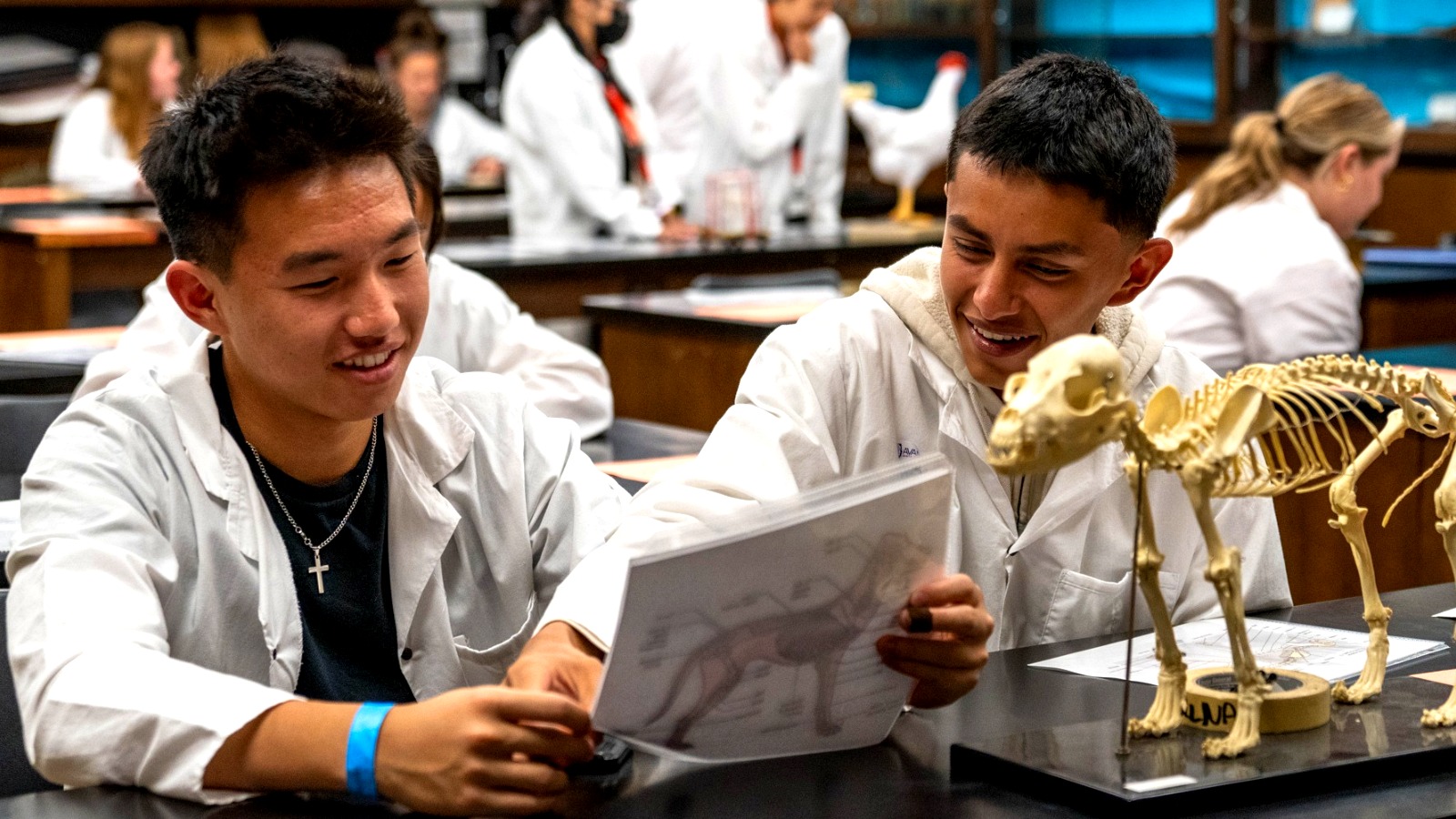 Students participating in a lively class discussion with an instructor inside a modern SRJC classroom.
