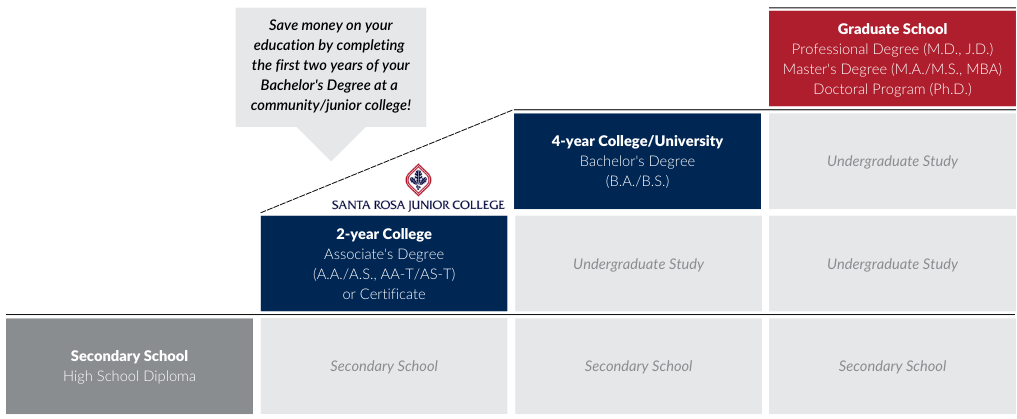 Decorative graphic illustrating the transition from secondary school to undergraduate study and graduate school.