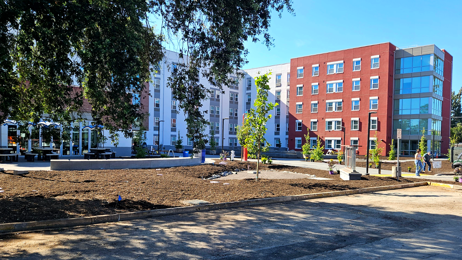 A view of SRJC's modern on-campus housing building with landscaped outdoor areas.
